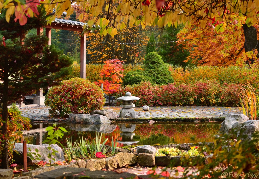 Ботанический сад спб осенью фото Ботанический сад спб осенью фото