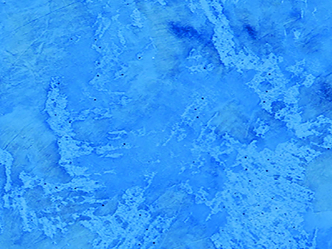 Коллекция интерьерных красок Tiepolo от OIKOS