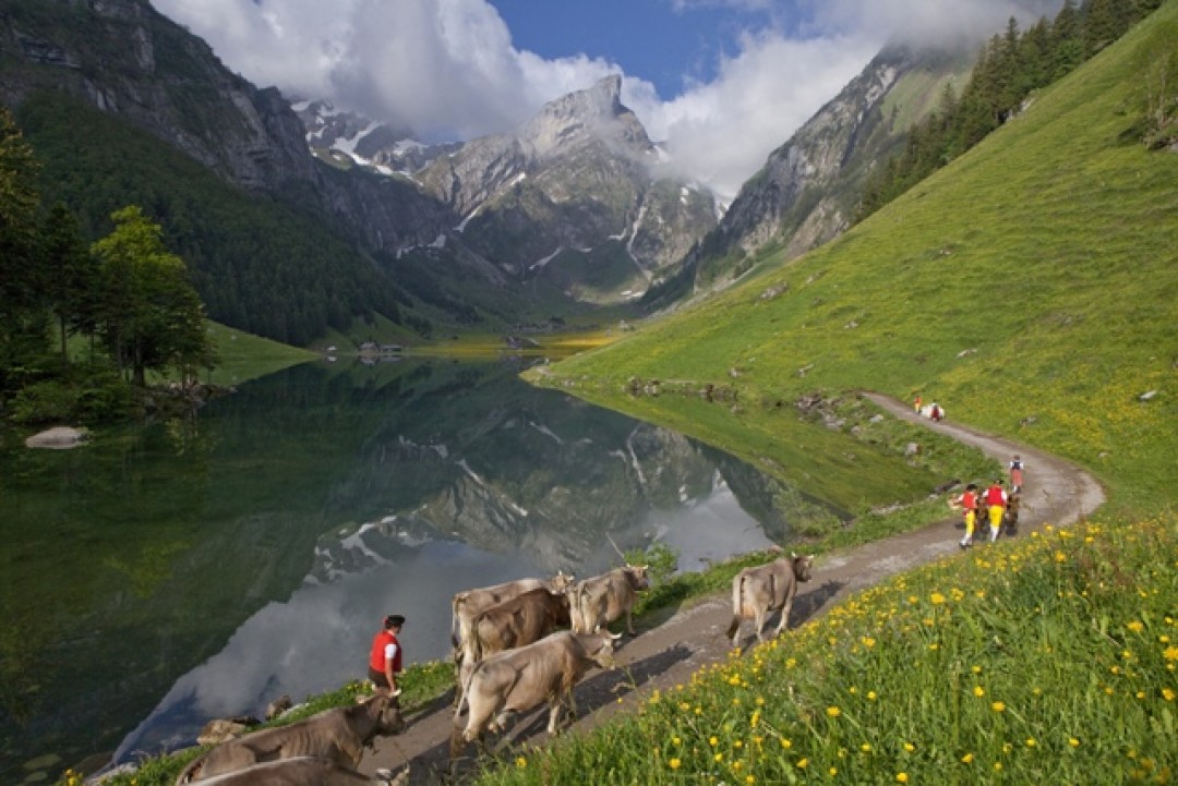 Полукантон Аппенцелль.