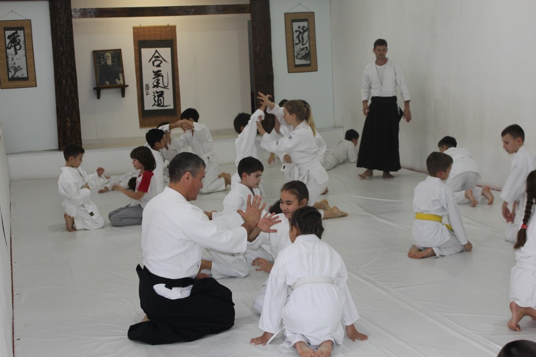 vk.com/aikido_rb