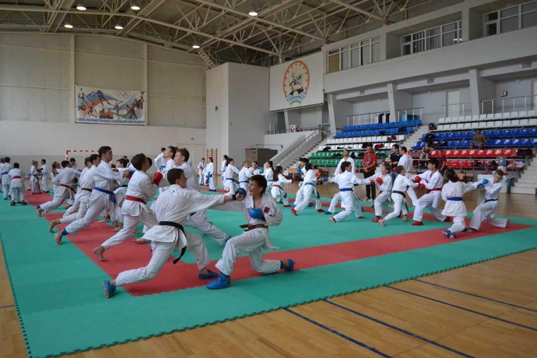 vk.com/karatebashkortostan