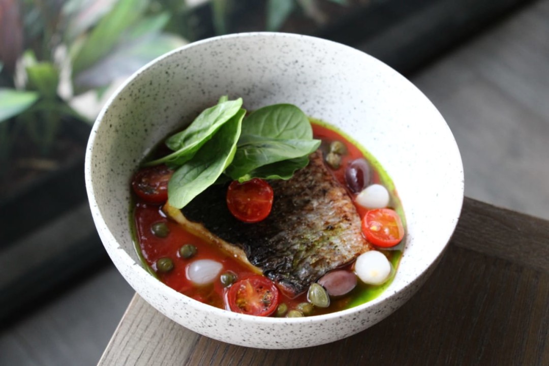 LOUNGE CAFE Пеленгас, гаспачо, овощи