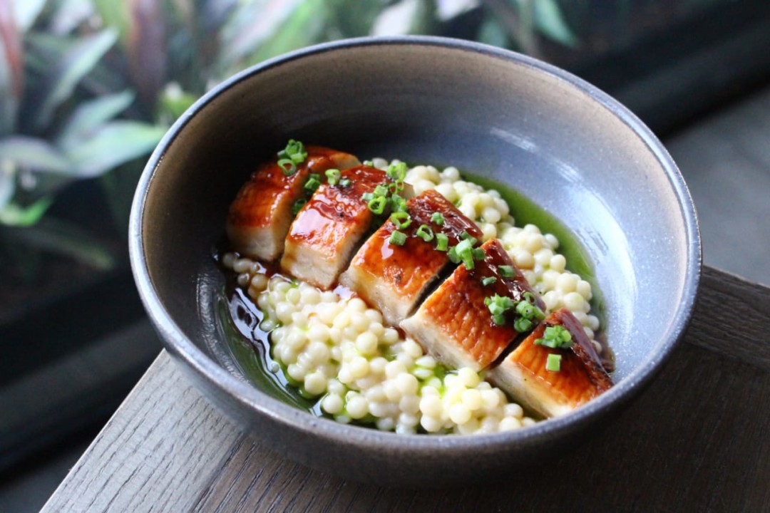 LOUNGE CAFE Угорь, птитим