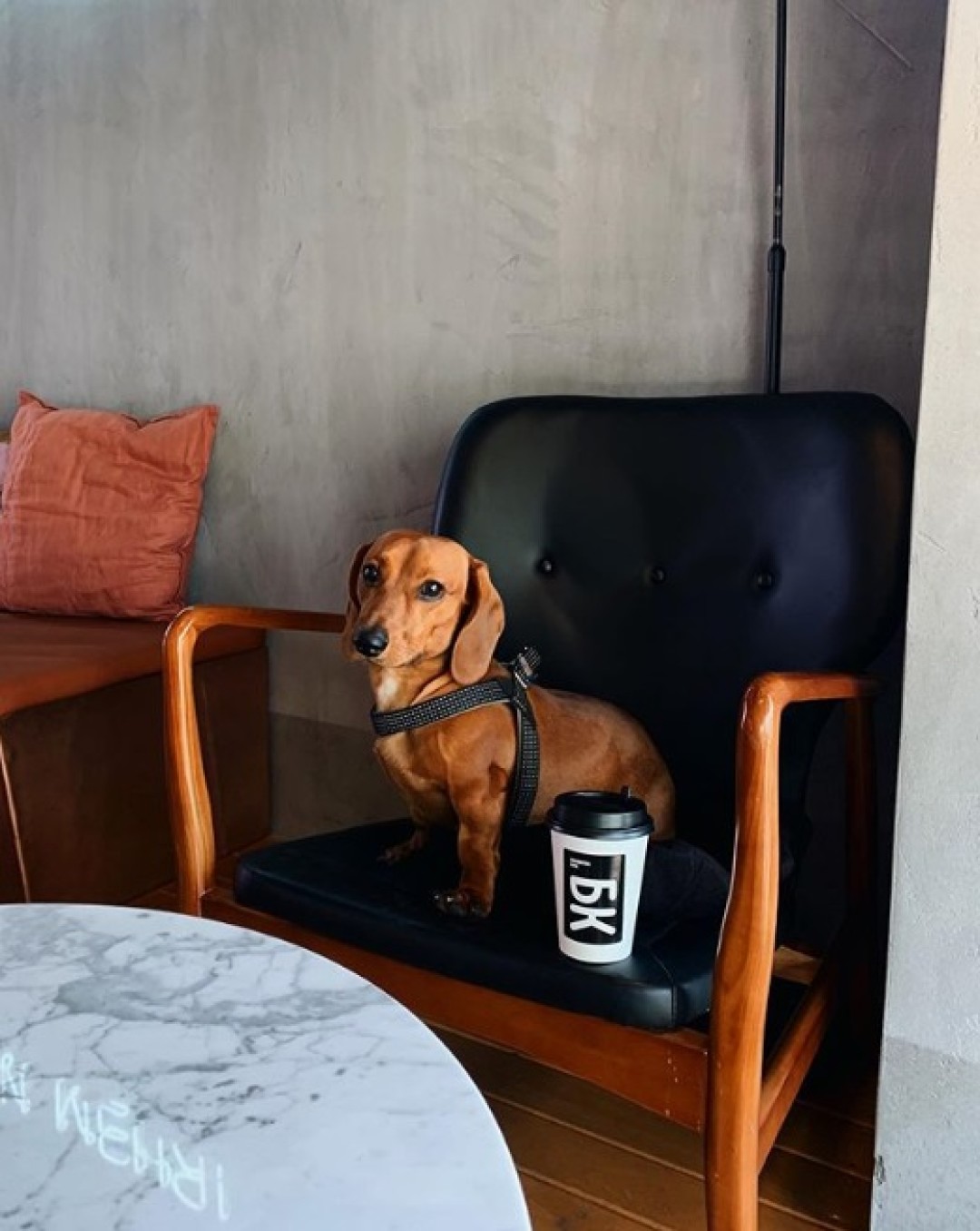 Фото: архивы «Библиотеки кофе»