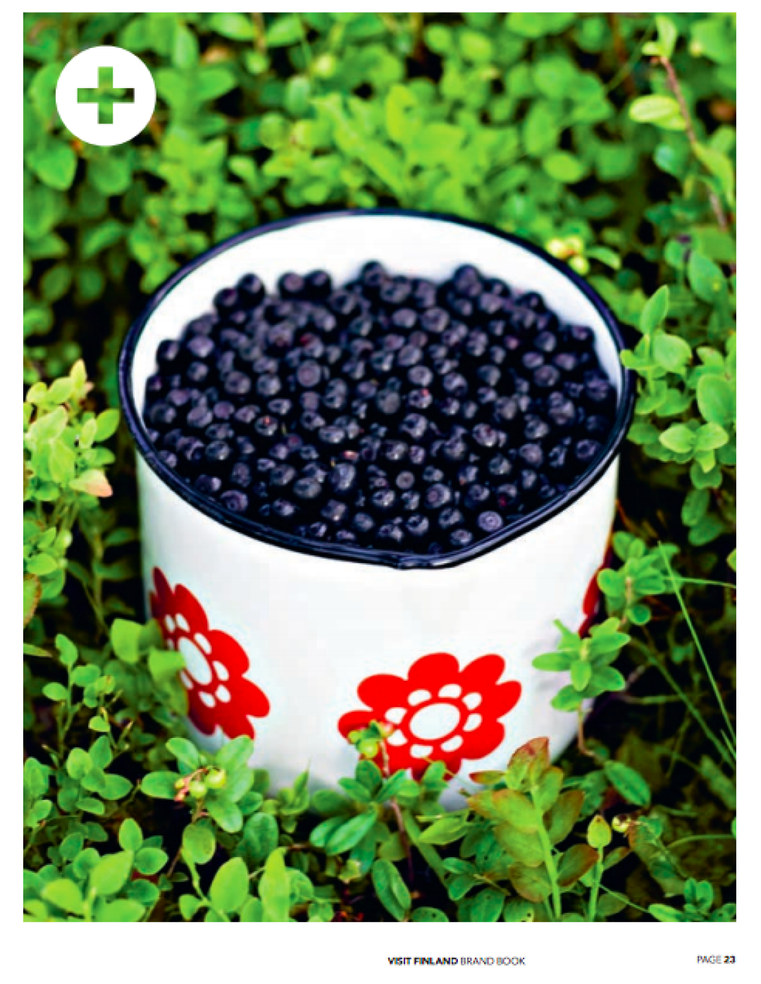 Страница из бренд-бука Visit Finland