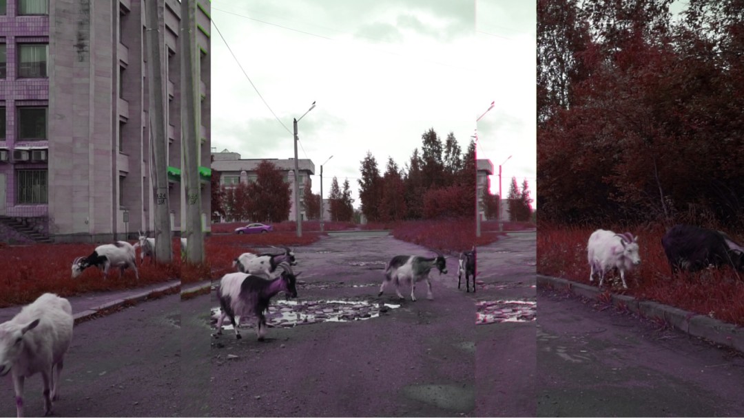 Татьяна Ахметгалиева, Fragile Island