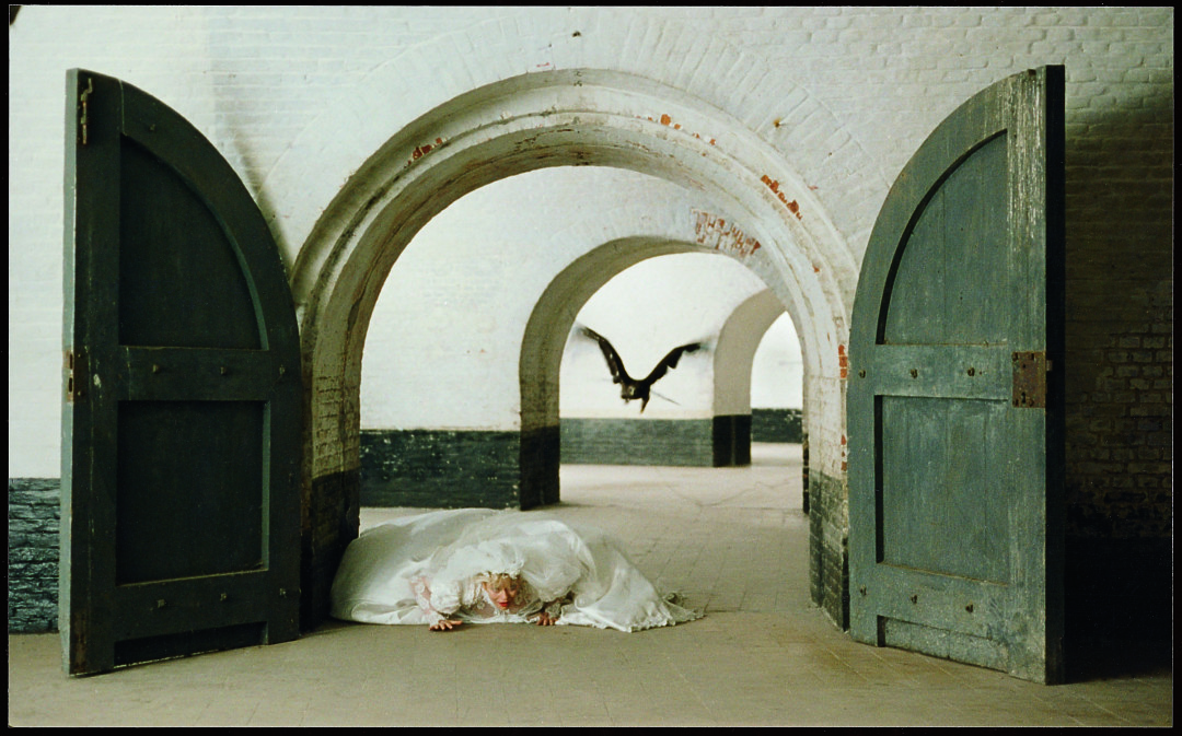 «Воины красоты»