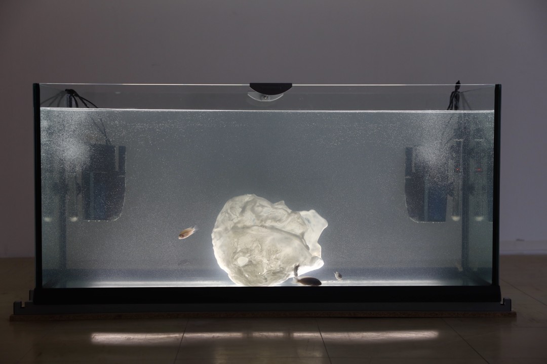 Инсталляция Ильи Федотова-Федорова