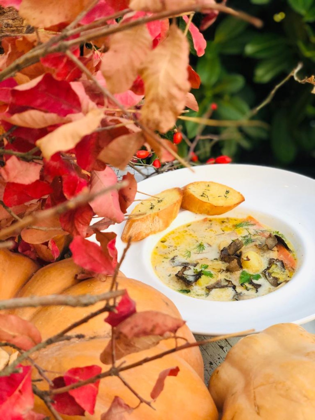 Ресторан LA VERANDA Грибная похлебка с пасировкой из моркови, лука, картофеля, белых грибов, шампиньонов в крупной фракции