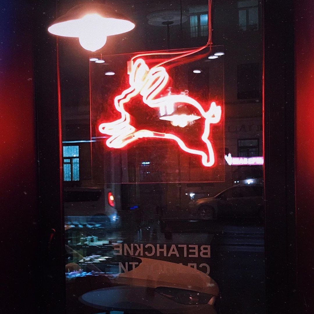 «Кролик, беги!»