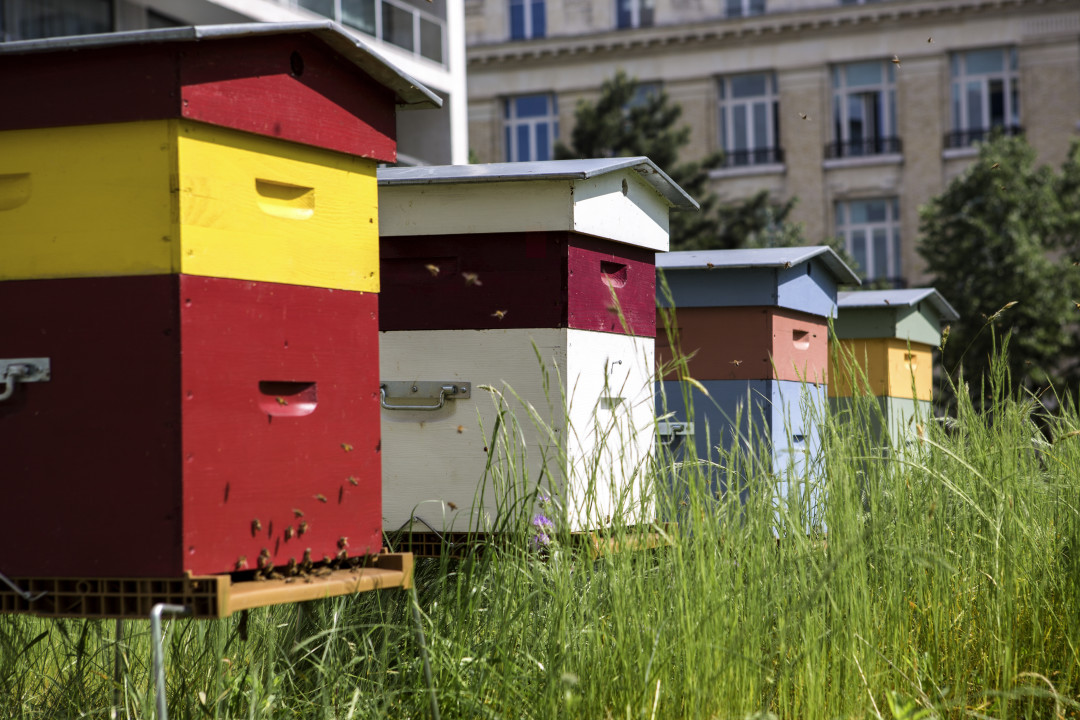 Pullman Paris Tour Eiffel