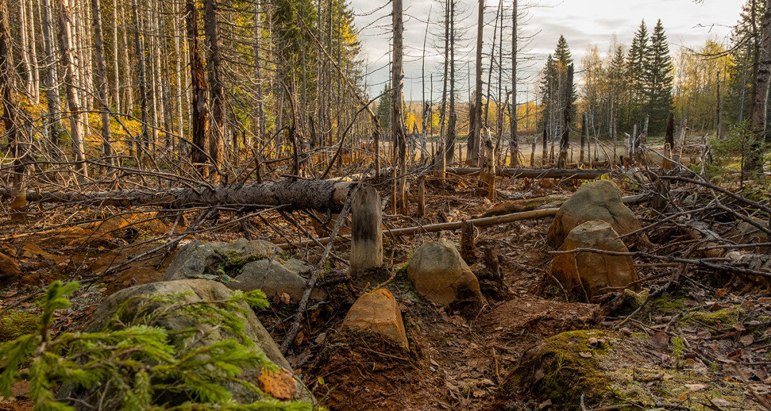 Съемки фильма о фильме «Территория» в поселке Усьва