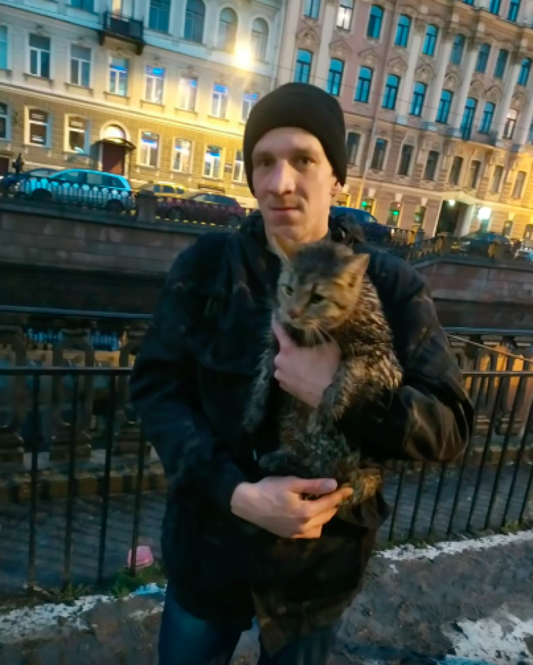 Кот допрашивает. Кошачьи дела. Картина спасение кота автор. Кота дело в том. Фоторобот кошки.