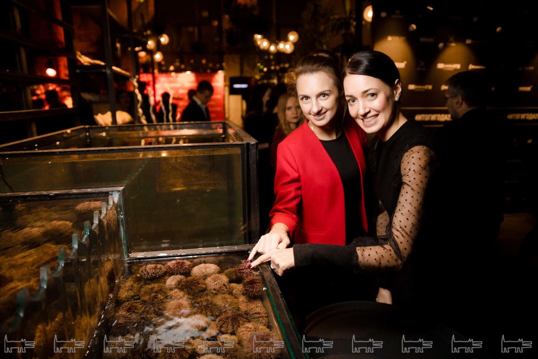 Ирина Паукова, Евгения Драгни