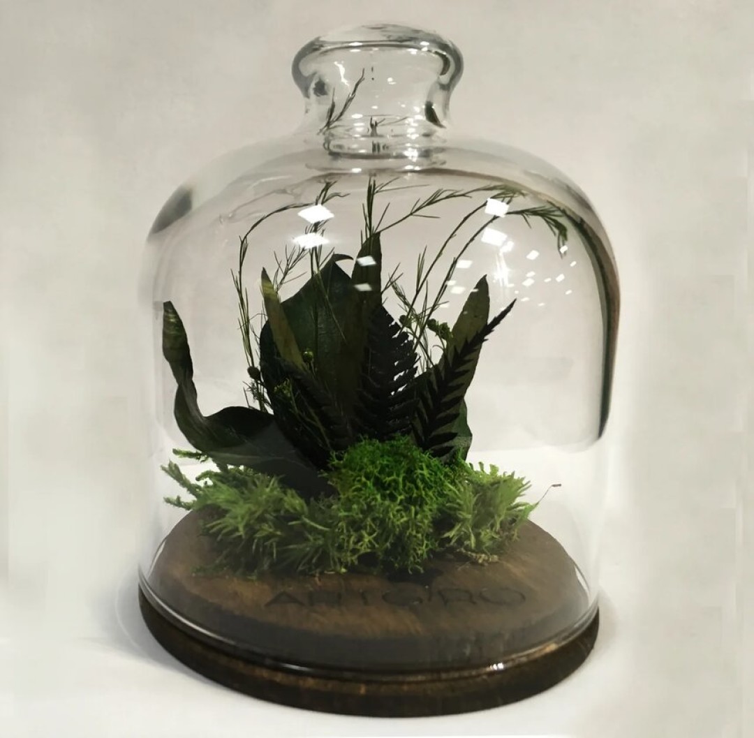 Сувенир ARTGRO