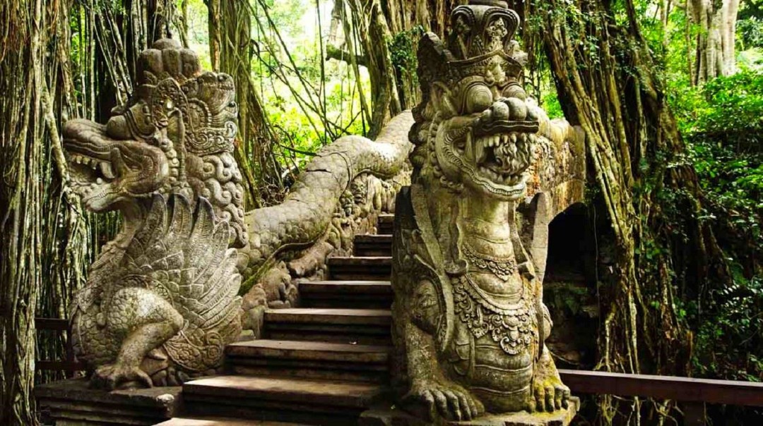 Лес обезьян