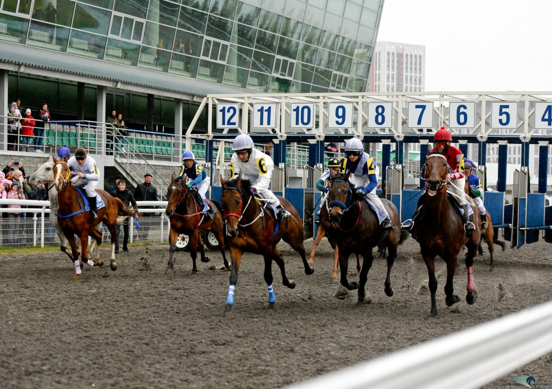vk.com/akbuzat_ippodrom_ufa