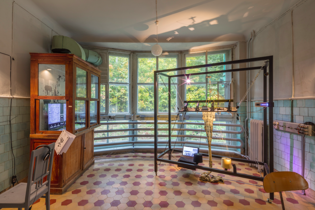 фото: Александр Лаврентьев