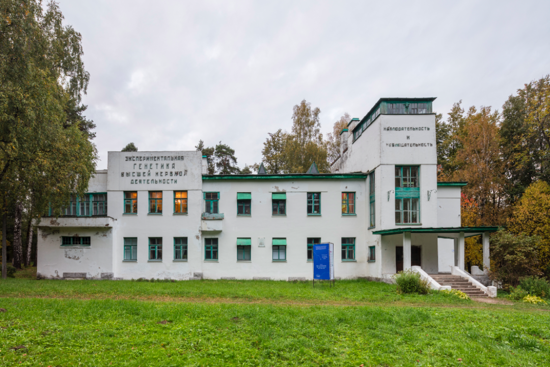 фото: Александр Лаврентьев