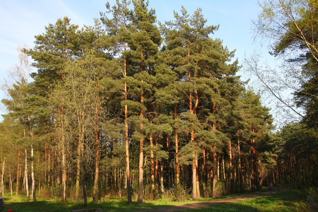 Фото: Георгий Клименко