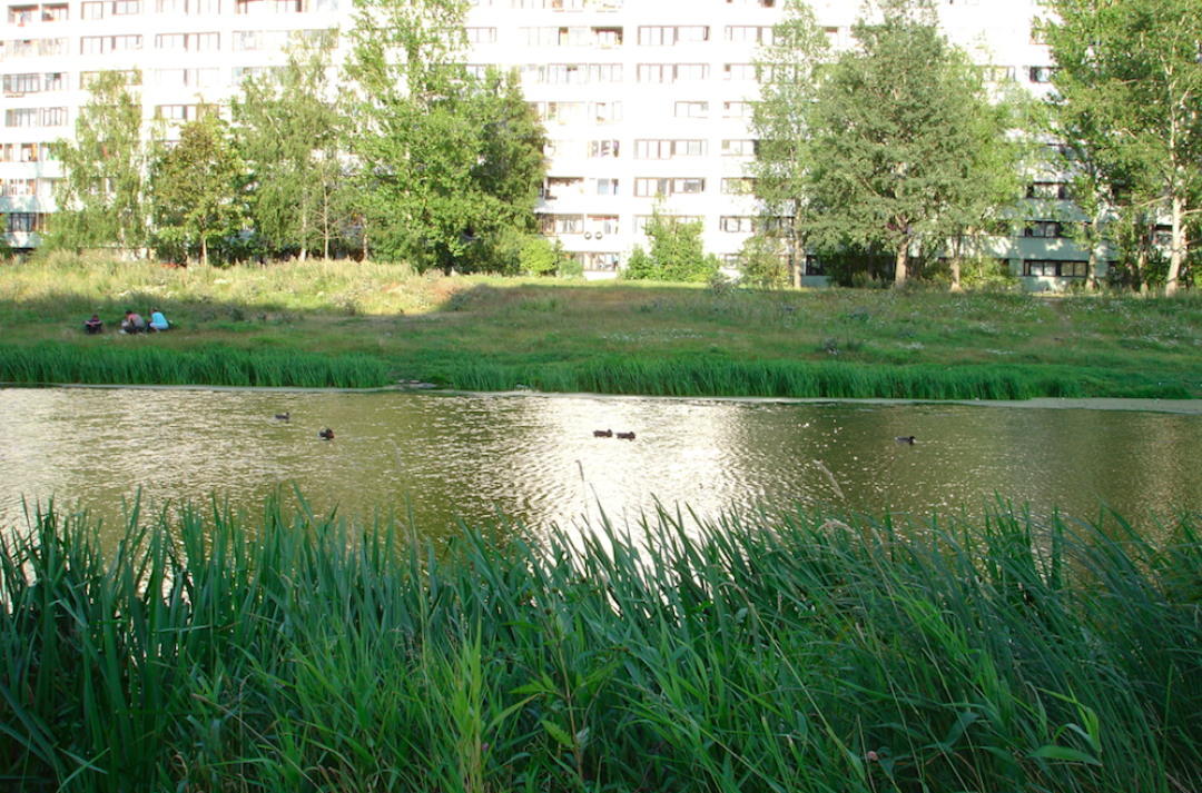 Фото: Георгий Клименко