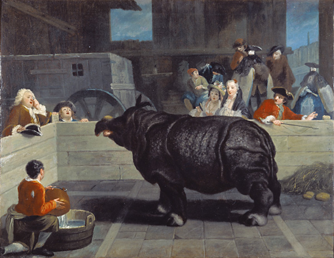 Пьетро Лонги. Носорог в Венеции, 1751.