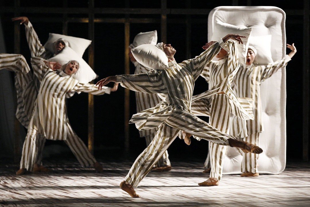 «Спящая красавица»