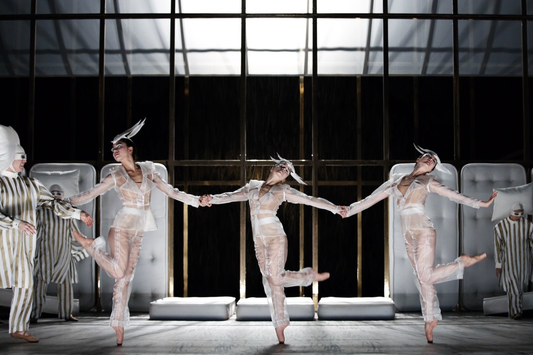 «Спящая красавица»