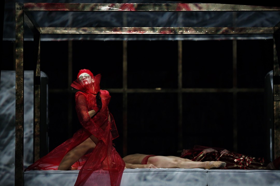 «Спящая красавица»