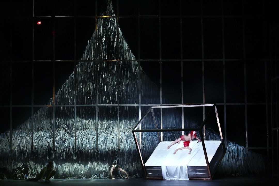 «Спящая красавица»