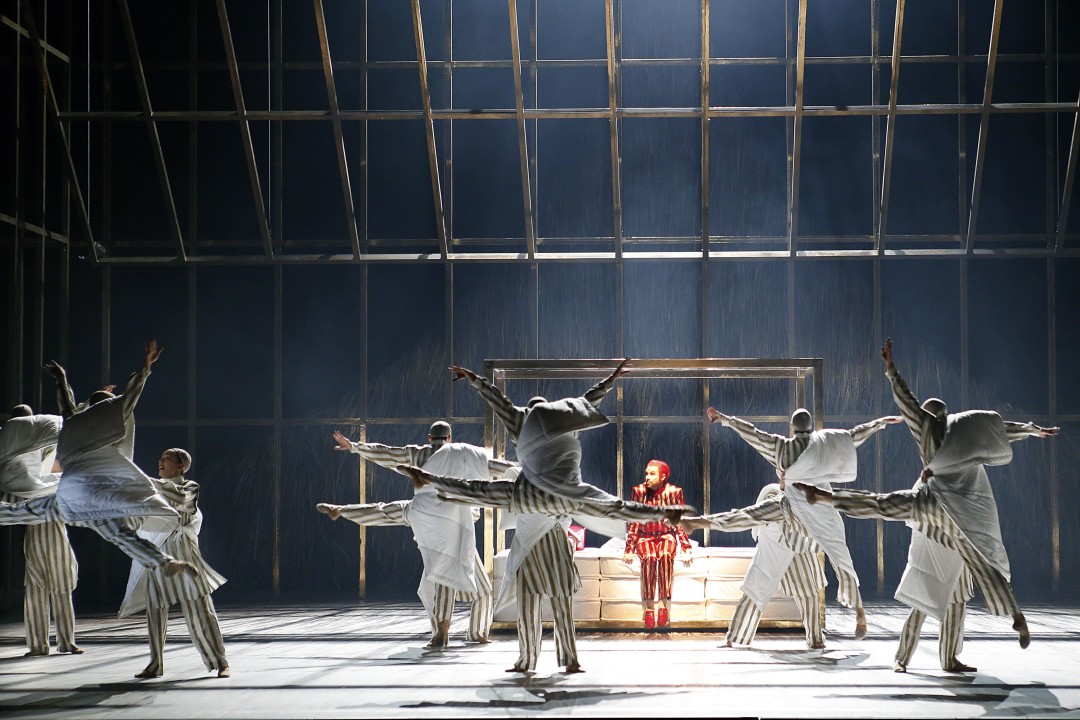 «Спящая красавица»