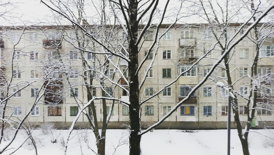 Типовая петербургская хрущевка 1960-х годов в районе станции «Пискаревка».