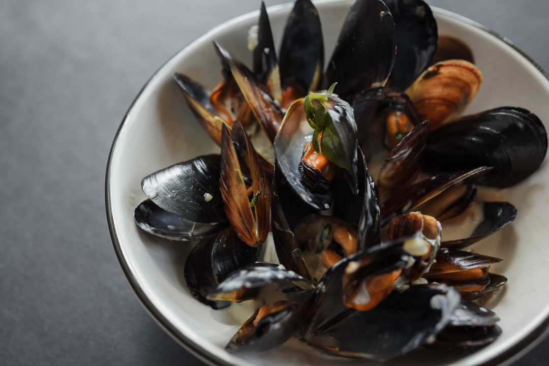 Мидии в соусе блю-чиз