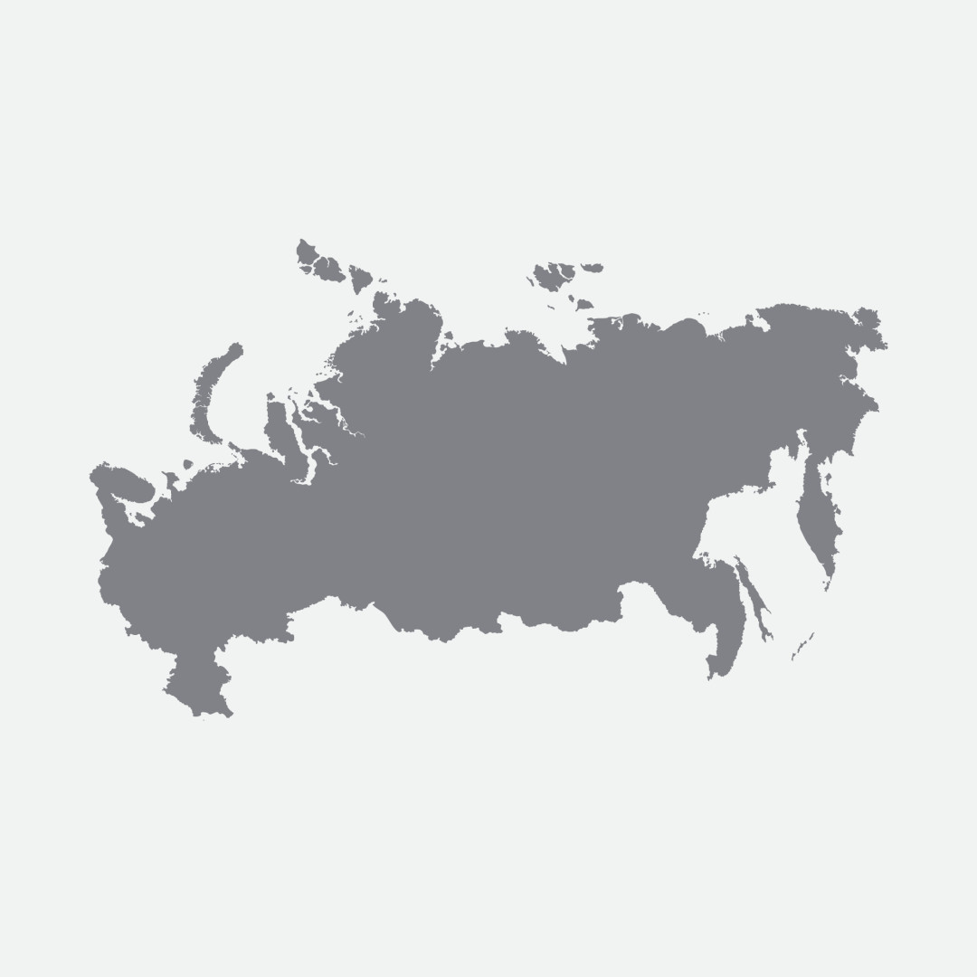 Карта россии силуэт вектор