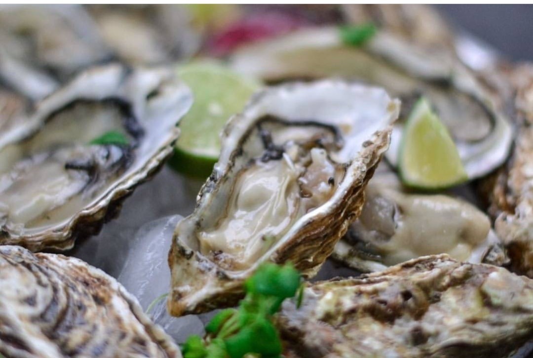 Свежий улов