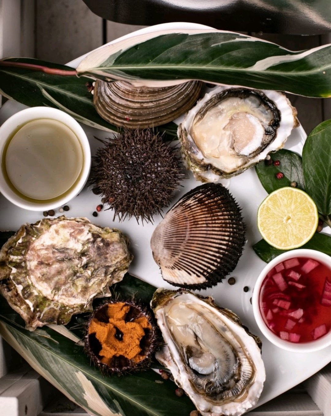 Свежий улов