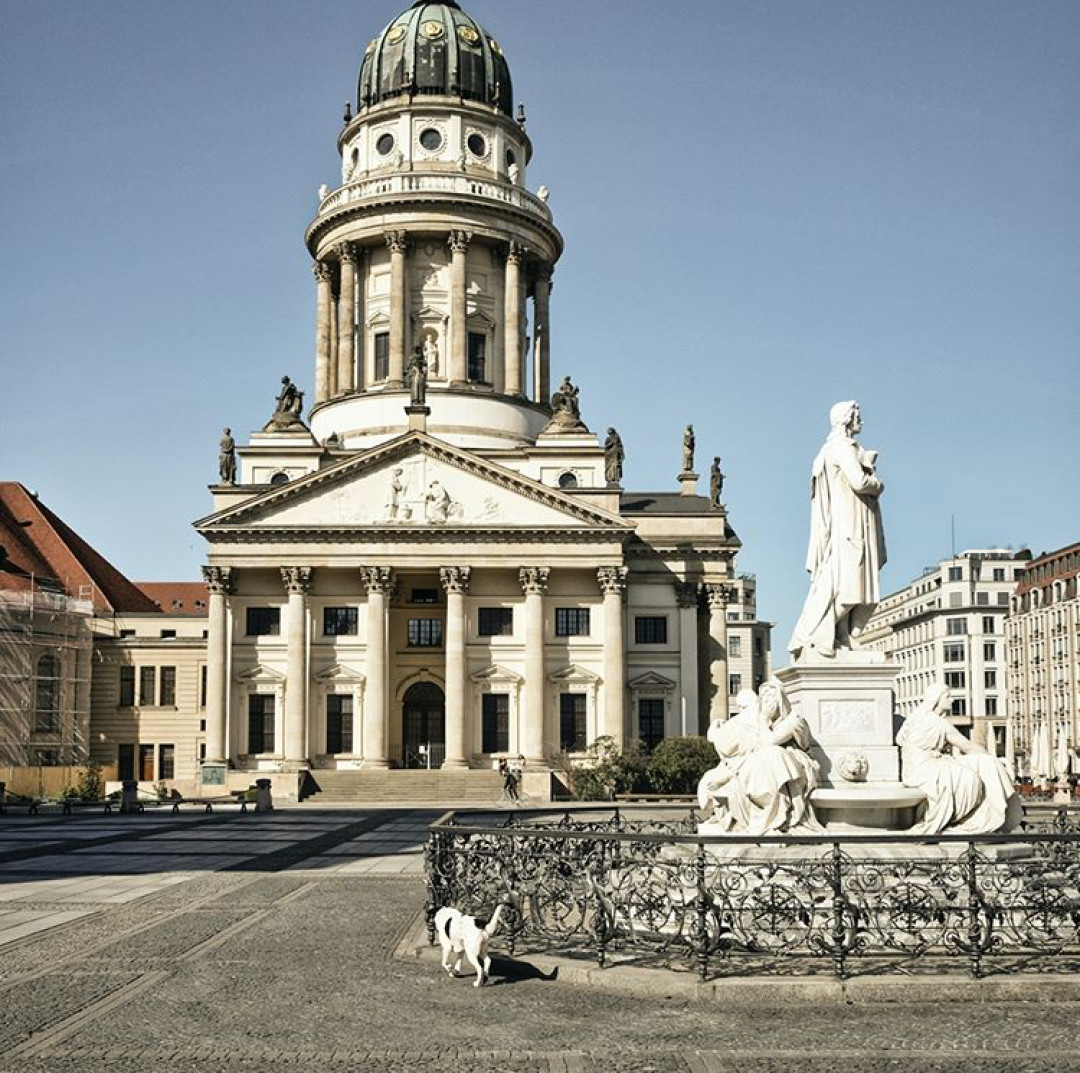 @mollys_social_distance