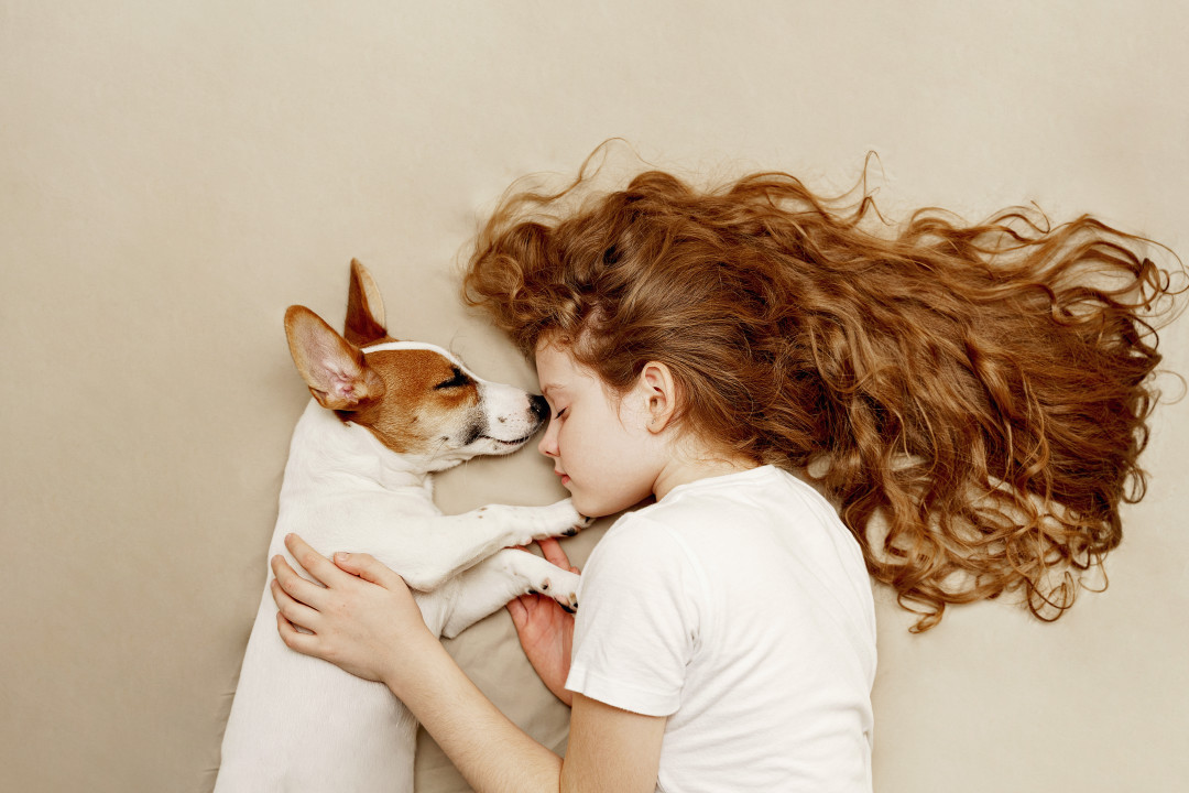 Фото: shutterstock