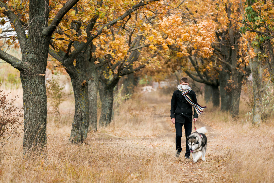 Фото: shutterstock