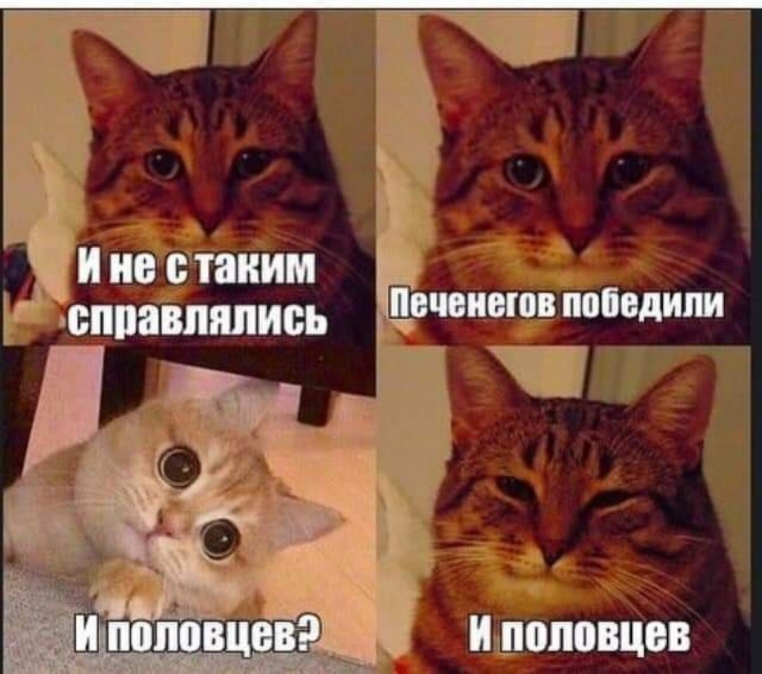 комменты в стим котик фото 66