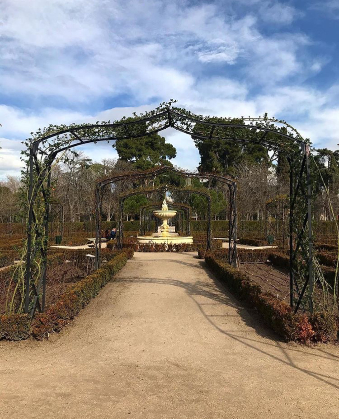 Парк Ретиро Фото: @moonsproblems