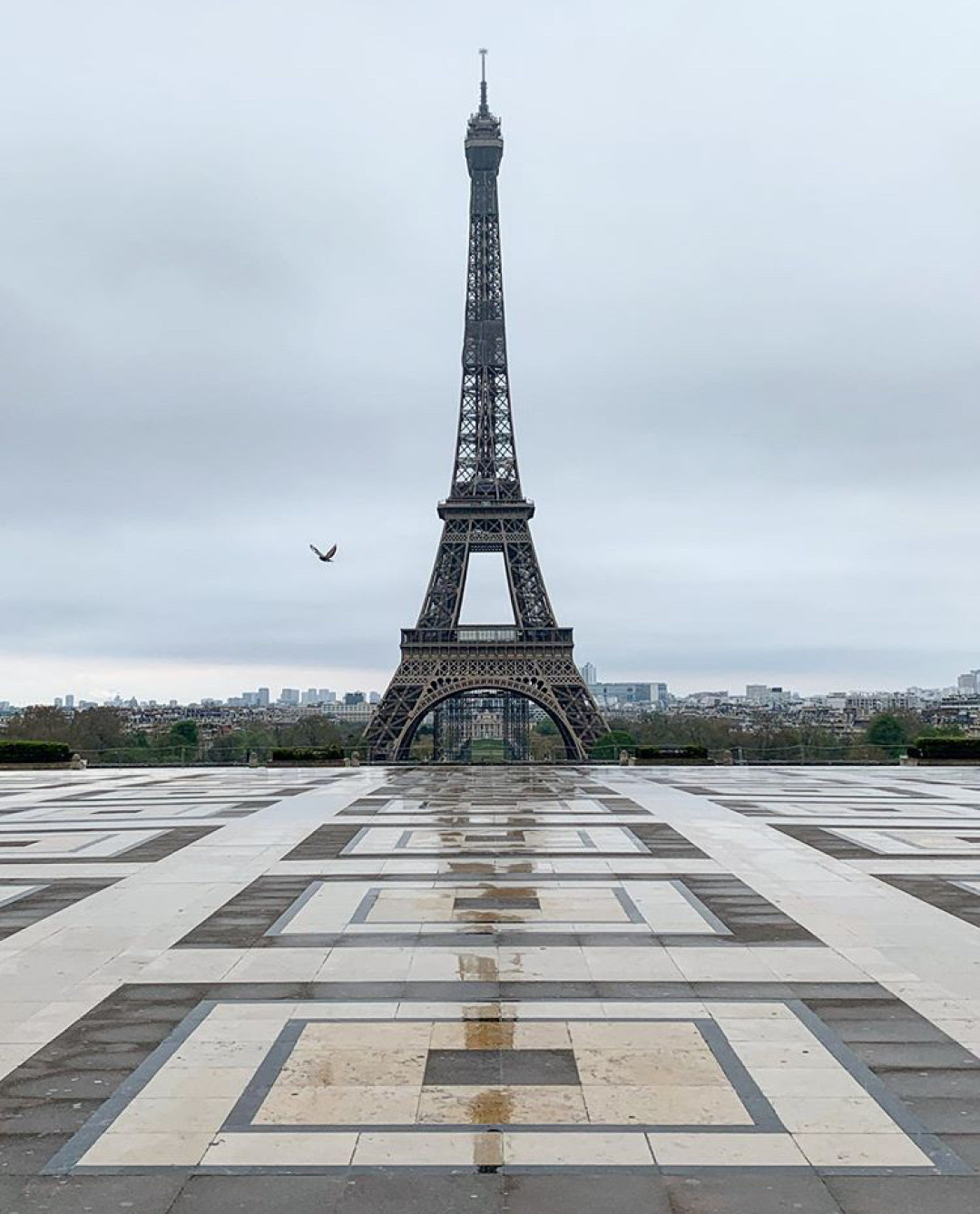 Эйфилева башня Фото: @elieyobeid