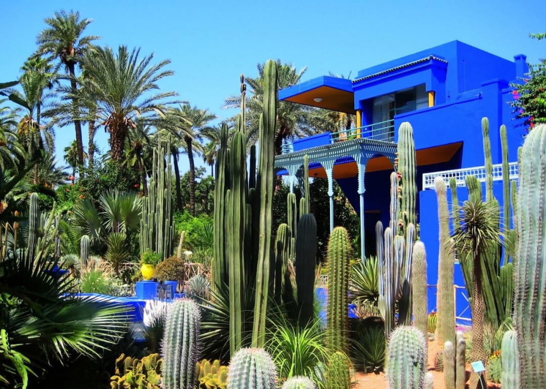 Сады Мажореля (Марракеш, Марокко)