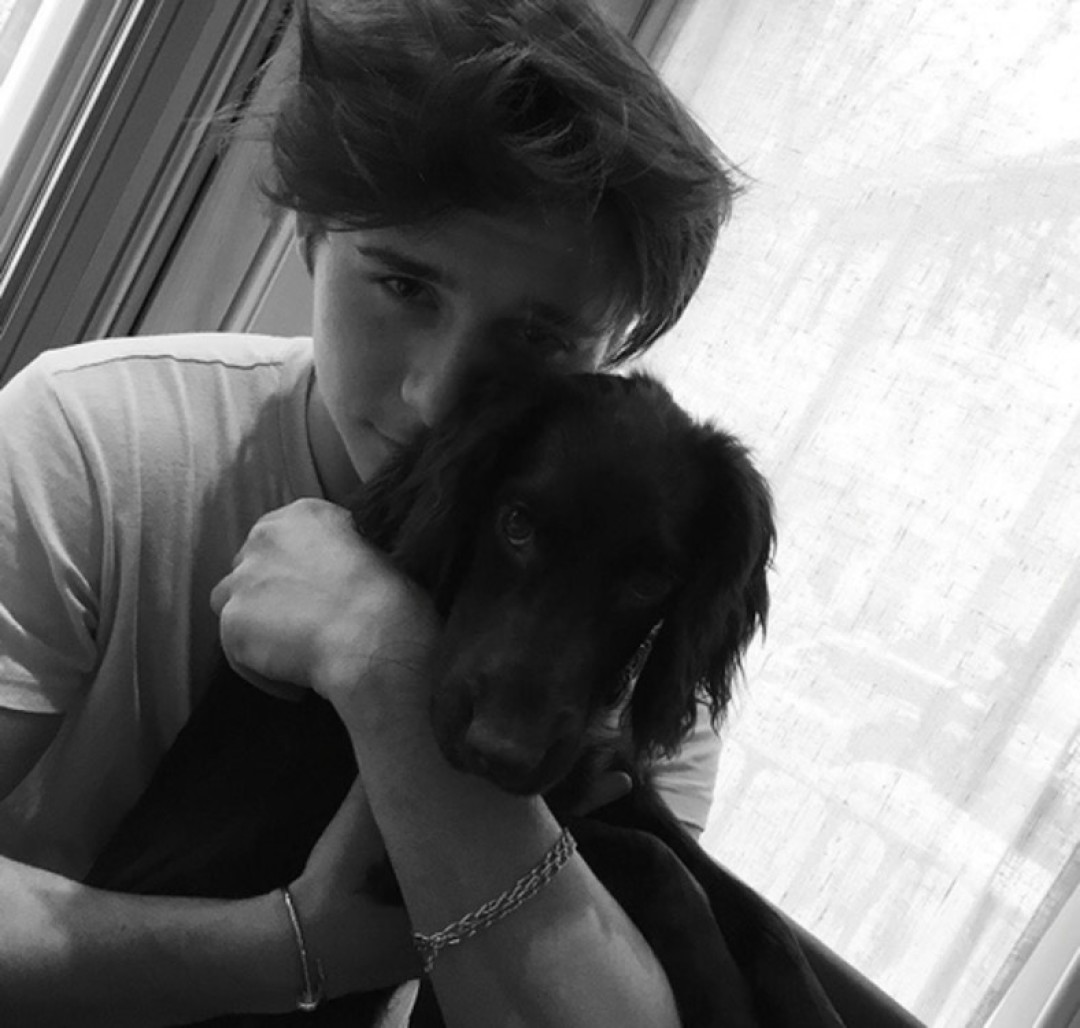 Бруклин Бекхэм с собакой Олив