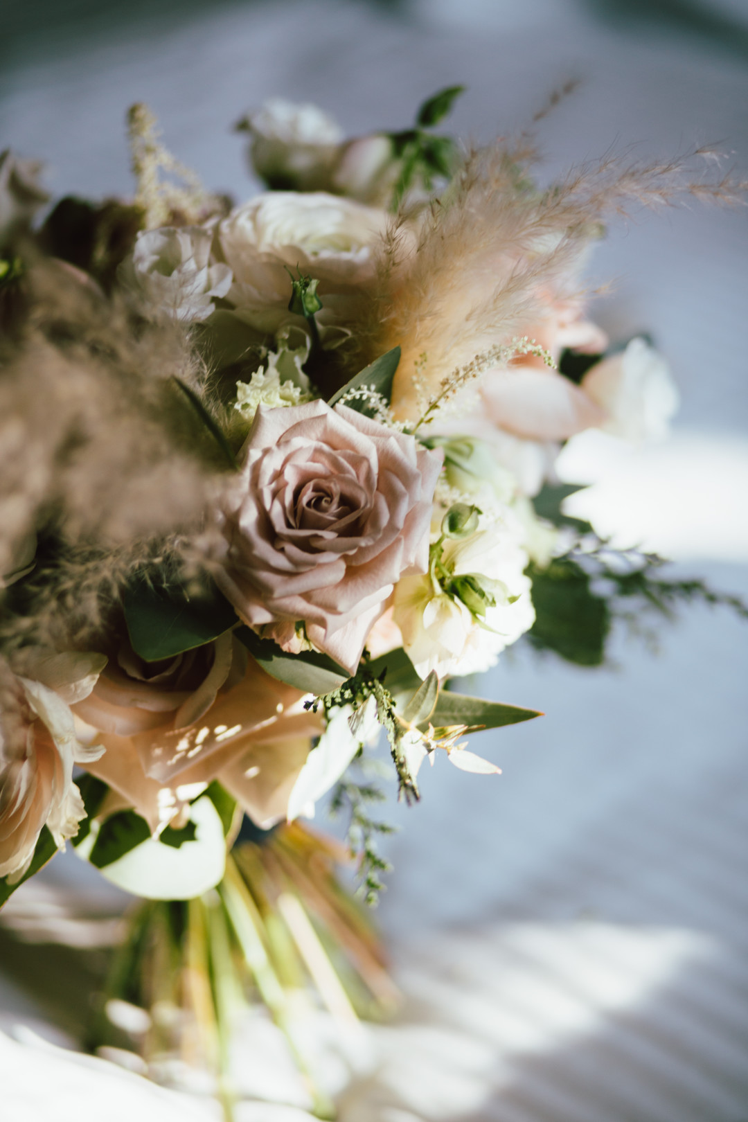 фотограф Алена Голубева