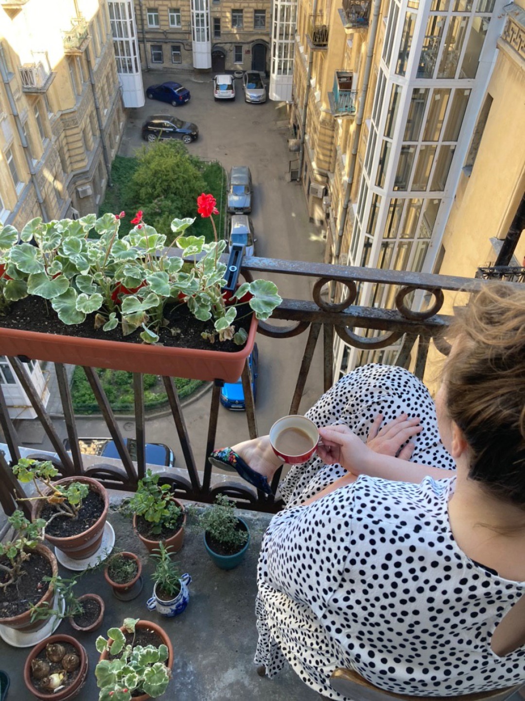Как Петербуржцы озеленяют балконы: от цветущего сада на 86-метровом балконе  до лоджии с помидорами и огурцами | Sobaka.ru