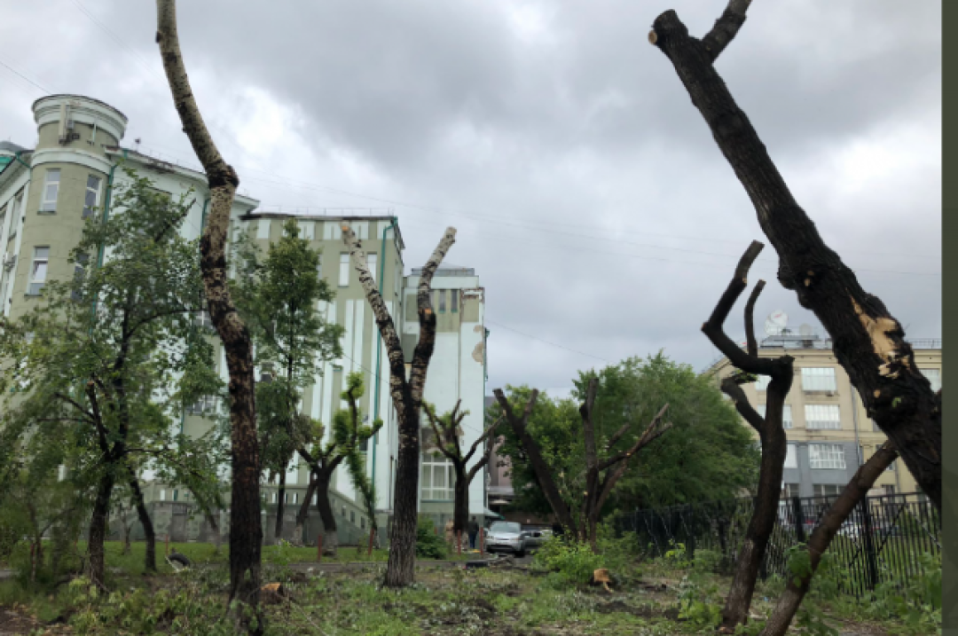 Twitter Татьяны Штабель