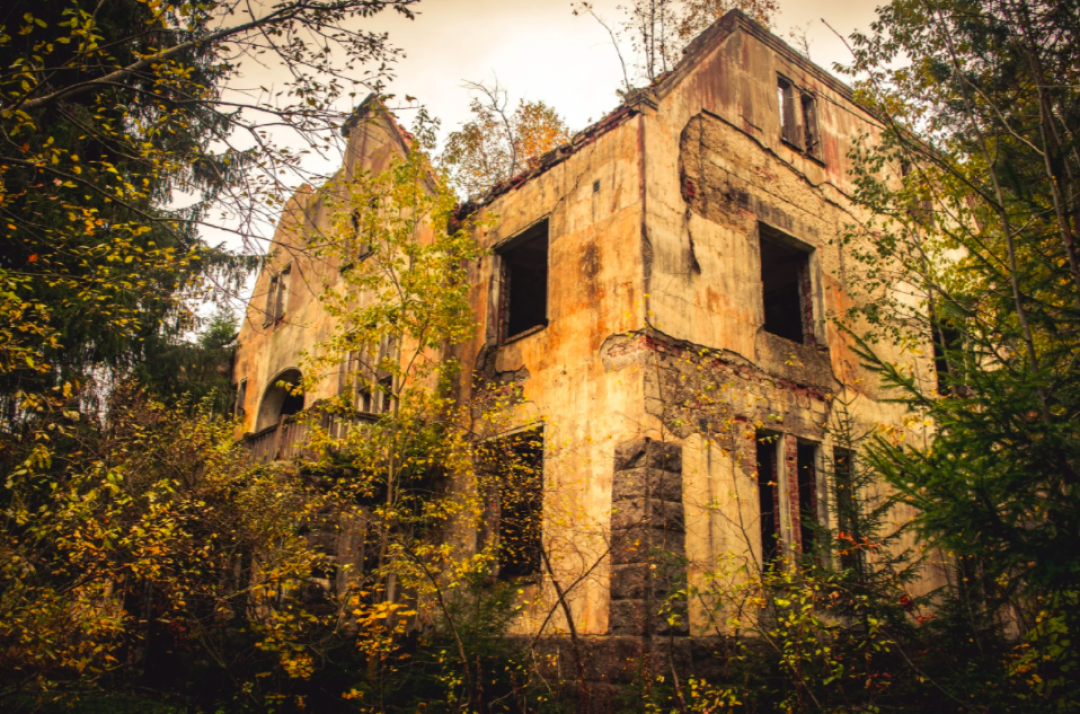 фото: Михаил Микляев, больше фото в блоге Михаила