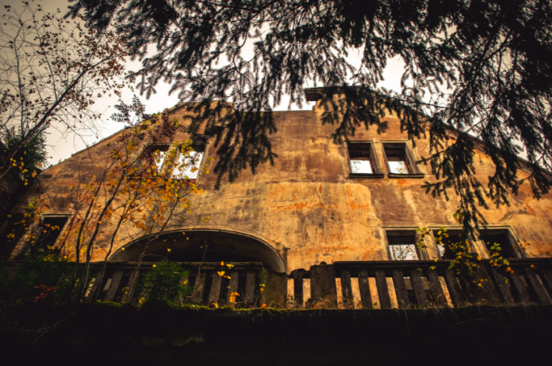 фото: Михаил Микляев