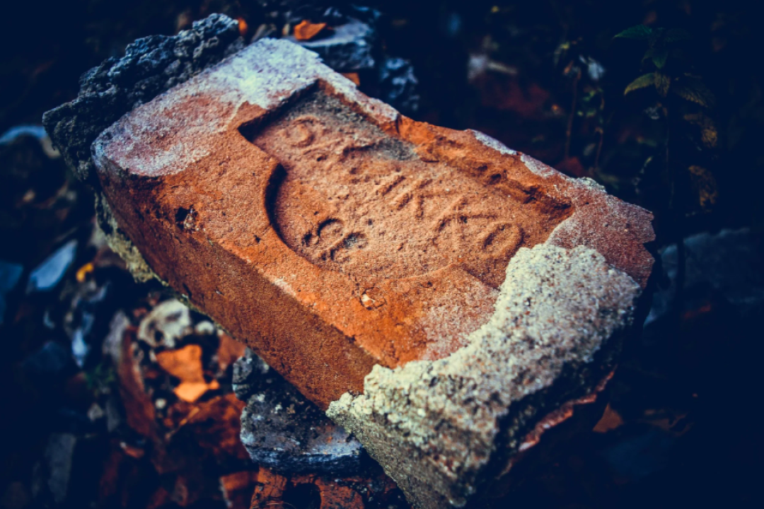 фото: Михаил Микляев